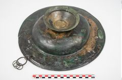 Foto von Bronzebreitrandfußschale (NHMW-PRAE-025521)